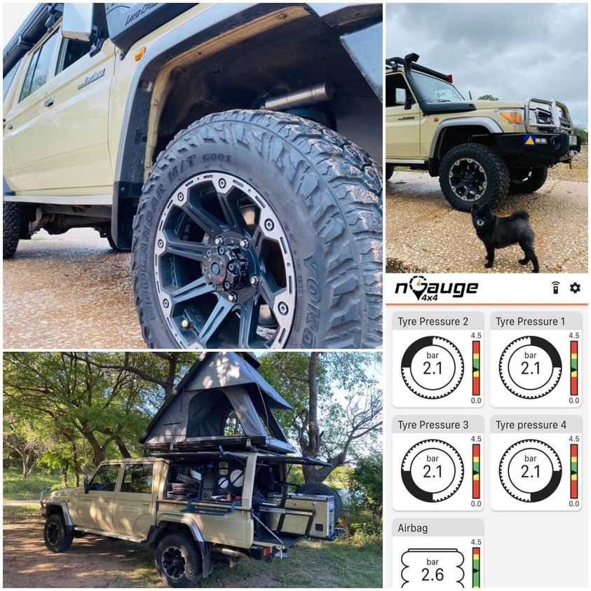 LC79 getting nGauge-d!